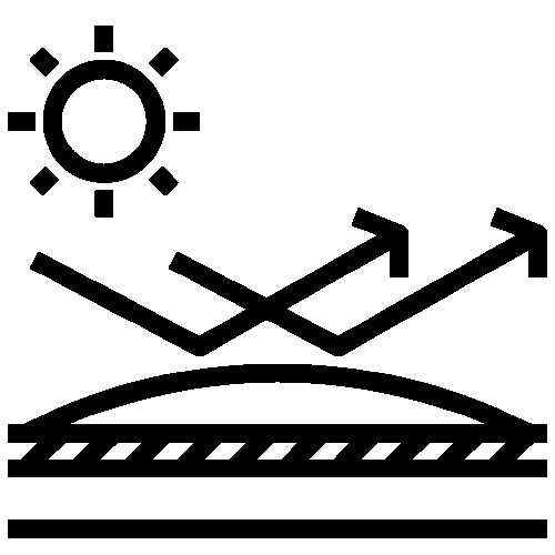LAVISH Kim Uv400 Black
