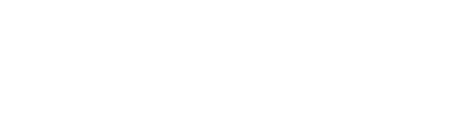 White Logo Lavish